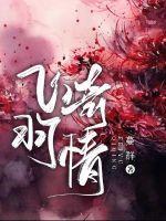 飞羽官网