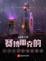 赛博朋克2077火在档下