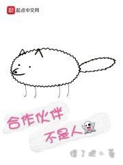 的合作伙伴