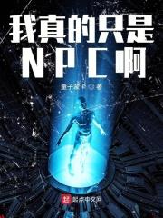 我真的是个npc啊
