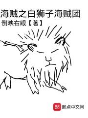 海贼之金狮