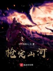 一枪定山河1-100集