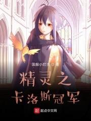 精灵宝可梦卡洛斯联盟冠军是谁