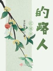 红楼中的路人是什么