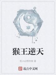 猴王闯天下