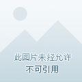 编号者四鬼