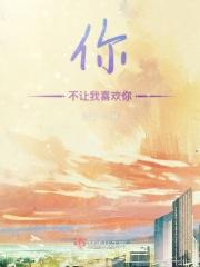 你不许凶我全文免费阅读