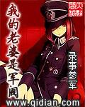 我的老婆是军阀无错版