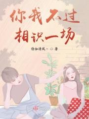 不过相识一场歌词