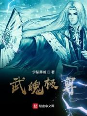 武极天下魂帝介绍