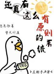 全厂原则性系统