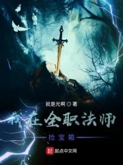 我在全职法师捡属性