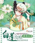白莲攻略讲啥