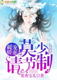 暖婚少妻