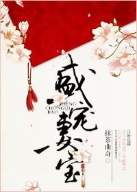 盛宠妻宝全文免费