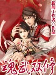 魂武双修txt