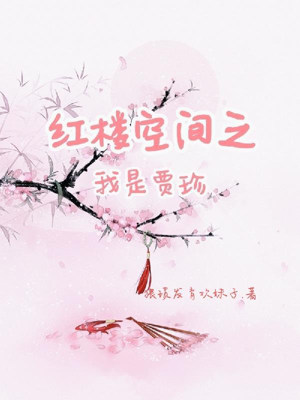 带着空间穿红楼37