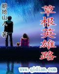 草根英雄电视剧全集
