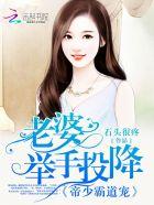 帝少专宠霸道总裁妻