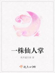 一株仙人掌花发