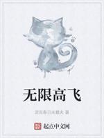 无限飞行百度百科