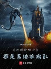 哈利波特带系统的