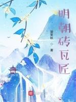 明朝砖头名字