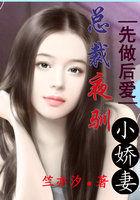 先做后爱总裁