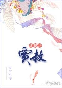 红楼之贾赦教查查