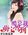 酷总裁的小萌妻