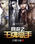 网游之王牌刺客