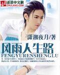 风雨人生路原唱完整版