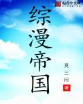 什么是二次元公司