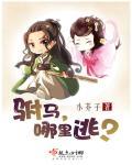 驸马往哪儿跑gl免费阅读
