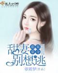 霸宠甜甜妻全文免费阅读
