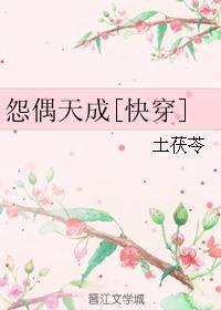 怨偶天成 魏岚txt