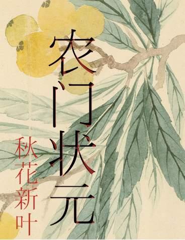 农门状元原版