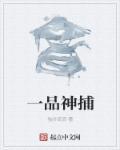 一品神探女主角简介