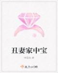 丑妻家中宝上一句是什么