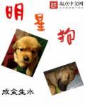 明星狗巧克力