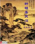 轩辕传奇圣渊
