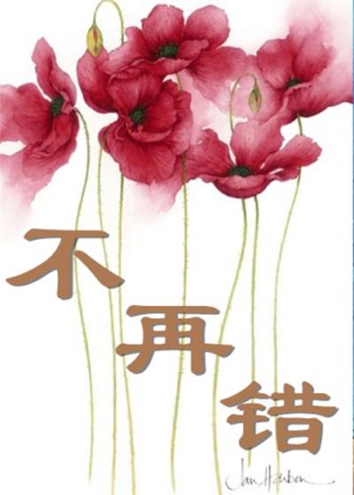 不再错过不留遗憾电影好看吗