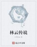 林云续集