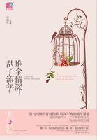 谁拿情深乱了流年讲的是什么