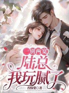 一别两宽前夫轻点追简介