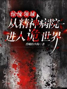 惊悚领域从精神病院进入诡世界 笔趣阁