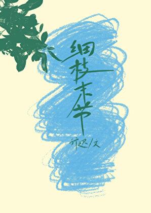 细枝末节的小事有语病吗