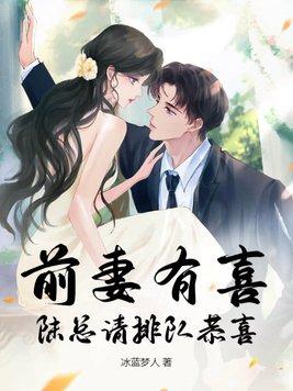 前妻有喜全文阅读