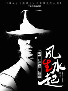 上海滩谍战剧前十名