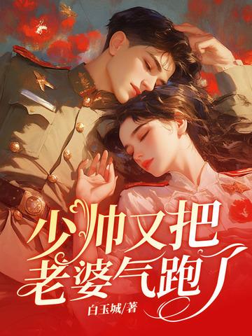 少帅老婆又跑了2